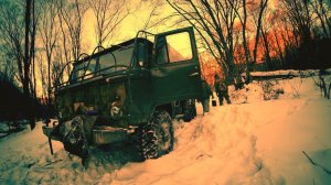 ПОВЕЗЛИ ВТОРУЮ ЧАСТЬ  БРЕВЕН,  для строительства ИЗБЫ, на новом участке.