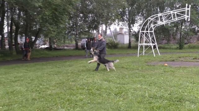 МОНО ВЕО смотреть онлайн