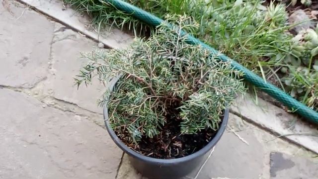 Спасаю НОВИНКИ !!! Из магазина Леруа - Мерлен ! смотреть онлайн