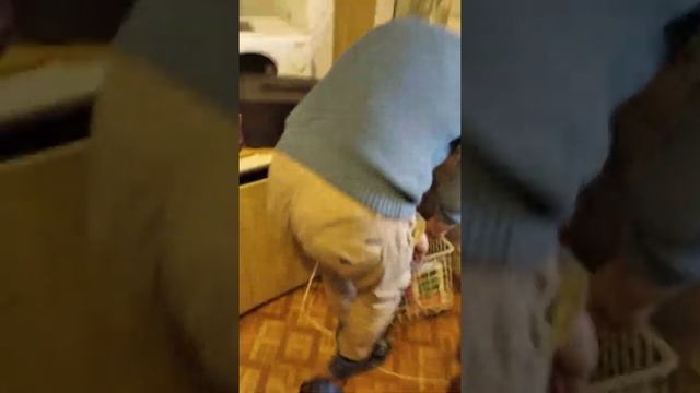 Обработка от тараканов в Москве смотреть онлайн