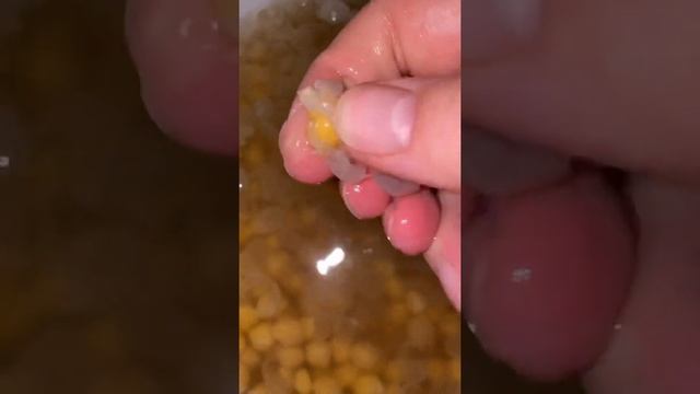 Спортивные Моменты и Экстрим-спорт