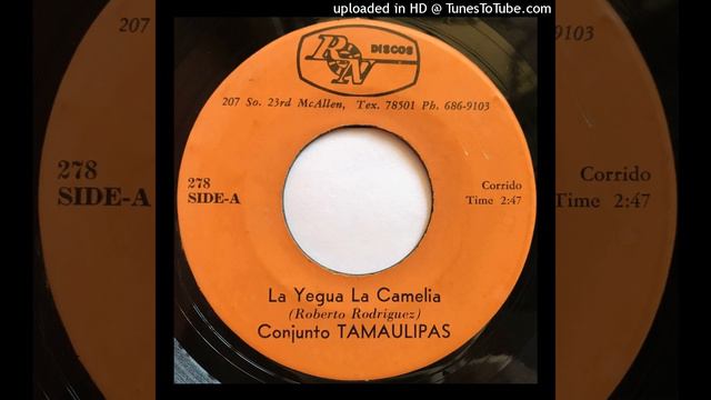 Conjunto Tamaulipas - La Yegua La Camelia смотреть онлайн