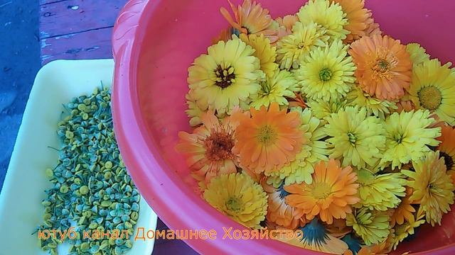 Заготовка трав для мыла с нуля//С чего начинается мыло смотреть онлайн