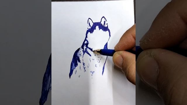 Рисую хаски смотреть онлайн