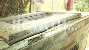 Убийственный набег неизвестного зверя уничтожил десятки кур и кроликов в частных подворьях