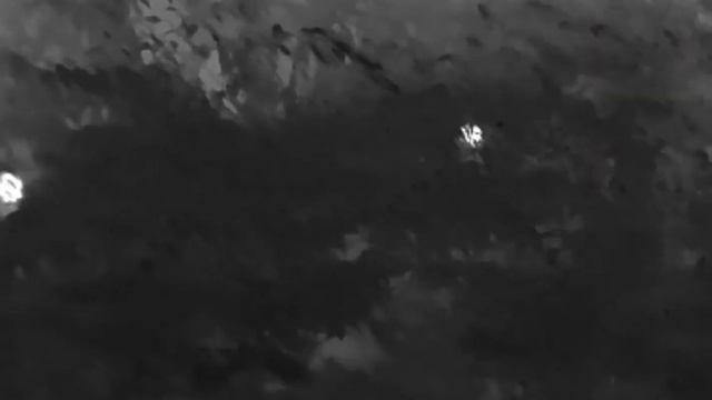 Infiray T3 Pro On Android Phone