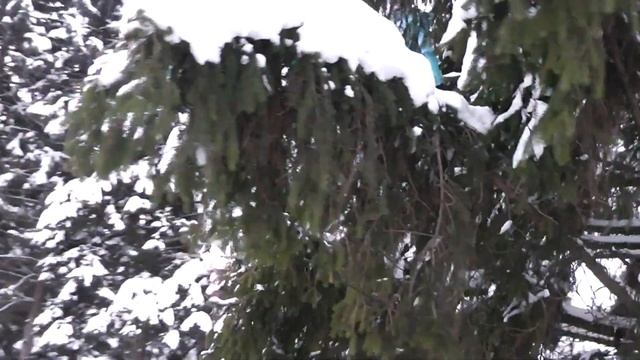 Белёв мой город смотреть онлайн