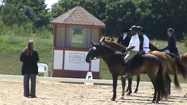 Dressage Equitation.mpg смотреть онлайн