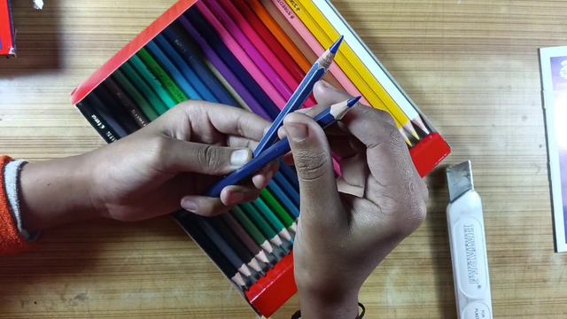 Unboxing  Staedtler Luna Colour Pencils.