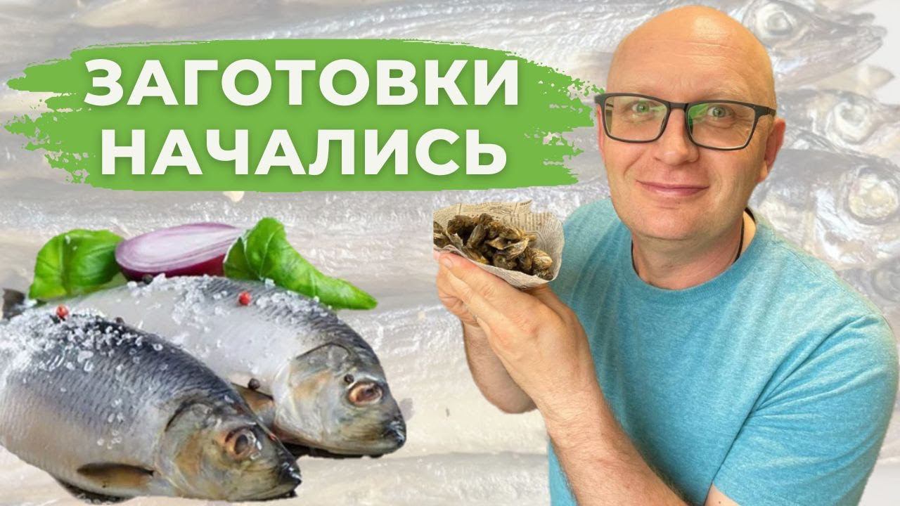 Заготовка ОМЕГА 3 в домашних условиях / Вяленая мойва смотреть онлайн