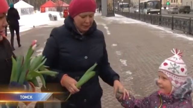 тюльпаны на улицах смотреть онлайн