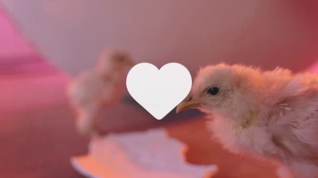 Meet The New Vivobook Pro 14X/16X OLED Series смотреть онлайн