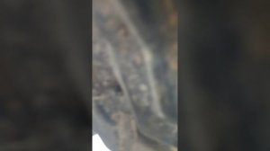 как заменить датчик коленвала Ниссан экстрейл 2'2 дизель