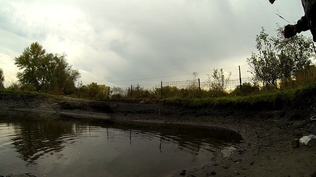 Выращивание карпа в маленьком пруду возле дома, эксперимент. ч28. максимальный спуск воды смотреть онлайн