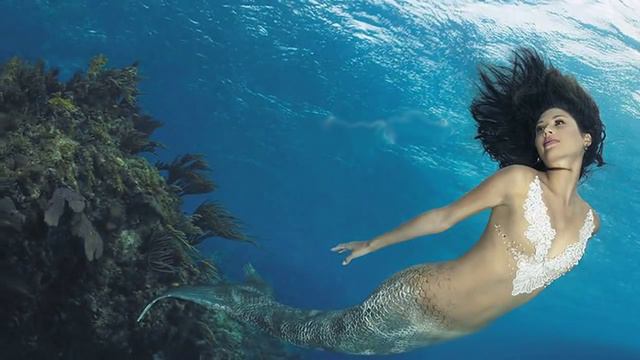 Schiller ✤ Mitternacht ✤ Dj. Morfou (edit) смотреть онлайн