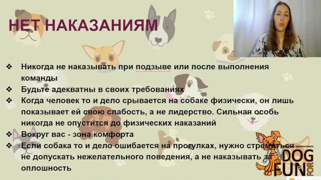 КАК НАУЧИТЬ СОБАКУ ПОДХОДИТЬ ПО ПЕРВОЙ КОМАНДЕ смотреть онлайн
