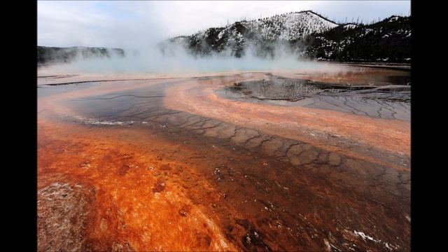 Смертельная мощь В Йеллоустоне деревья превратились в уголь, а земля почернела. смотреть онлайн