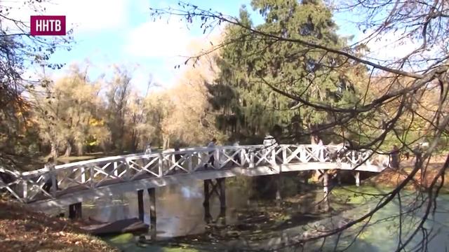 Глава региона Глеб Никитин встретился с послом Австрии в России Йоханессом Айгнером