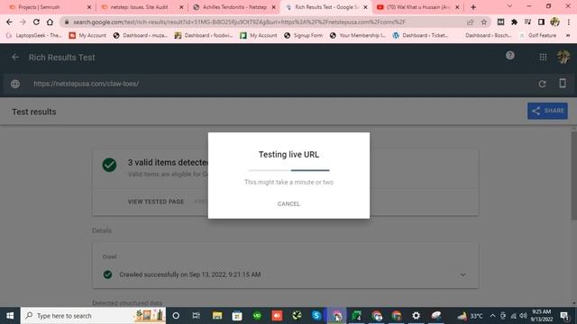 structured data items are invalid - A value for the thumbnailUrl field is required смотреть онлайн