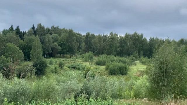 Уголок природы на окраине Москвы, 13.08.2023 смотреть онлайн