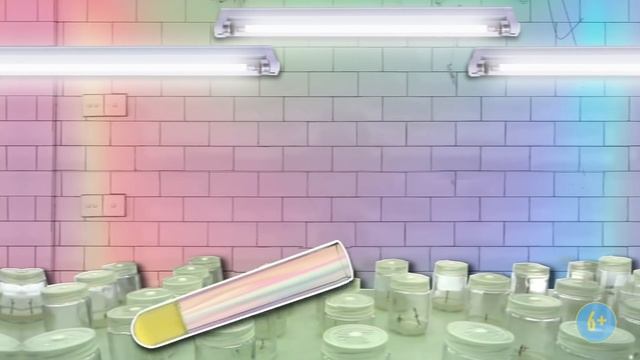 Как получить безвирусные растения? Сельское хозяйство будущего. 6+