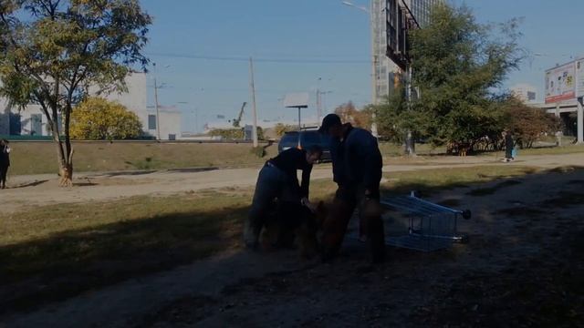 Рабочие Эрдели смотреть онлайн