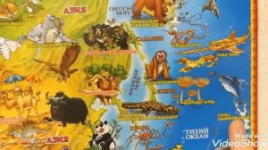 ЖИВОТНЫЕ. 🐯🦁🐼🦉🐍 МЕСТА ОБИТАНИЯ РЕДКИХ ВИДОВ. ЕВРАЗИЯ.