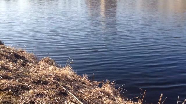 Вода в городе| Женские гармонизации смотреть онлайн