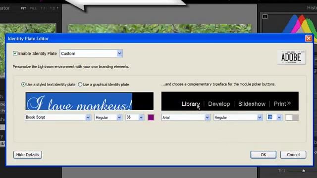 Adobe Lightroom 2 Identity Plate смотреть онлайн