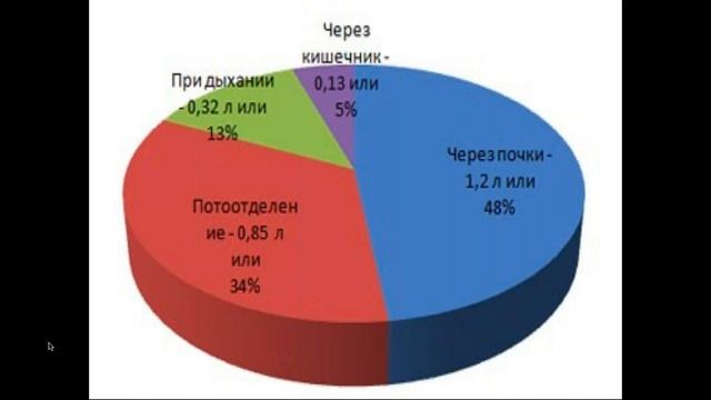 Школа Сбалансированного питания, тема "Вода, напитки, питьевой режим". смотреть онлайн