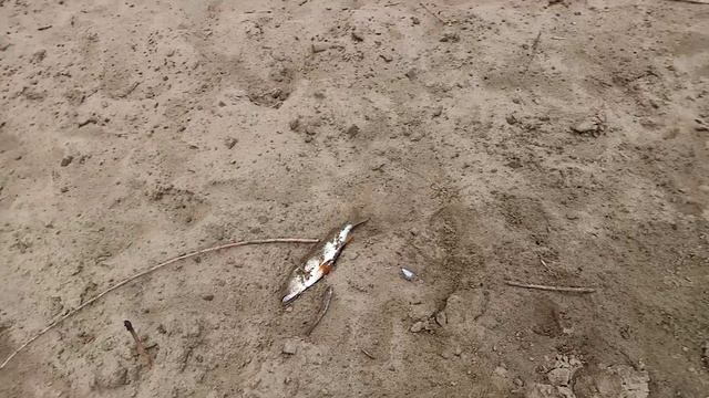 Закидушки на ночь. Утром проверка. смотреть онлайн