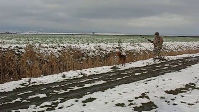 Hunting смотреть онлайн