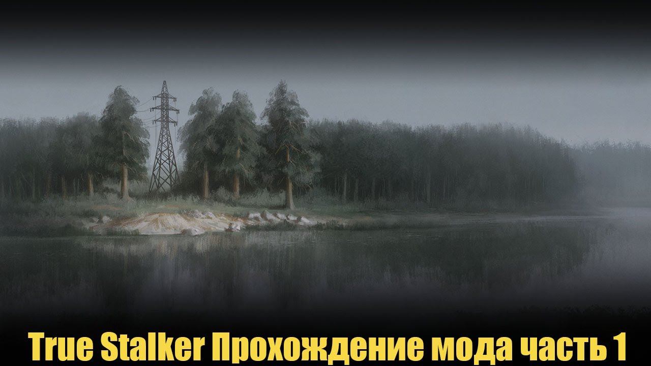 True Stalker Прохождение мода часть 1 смотреть онлайн