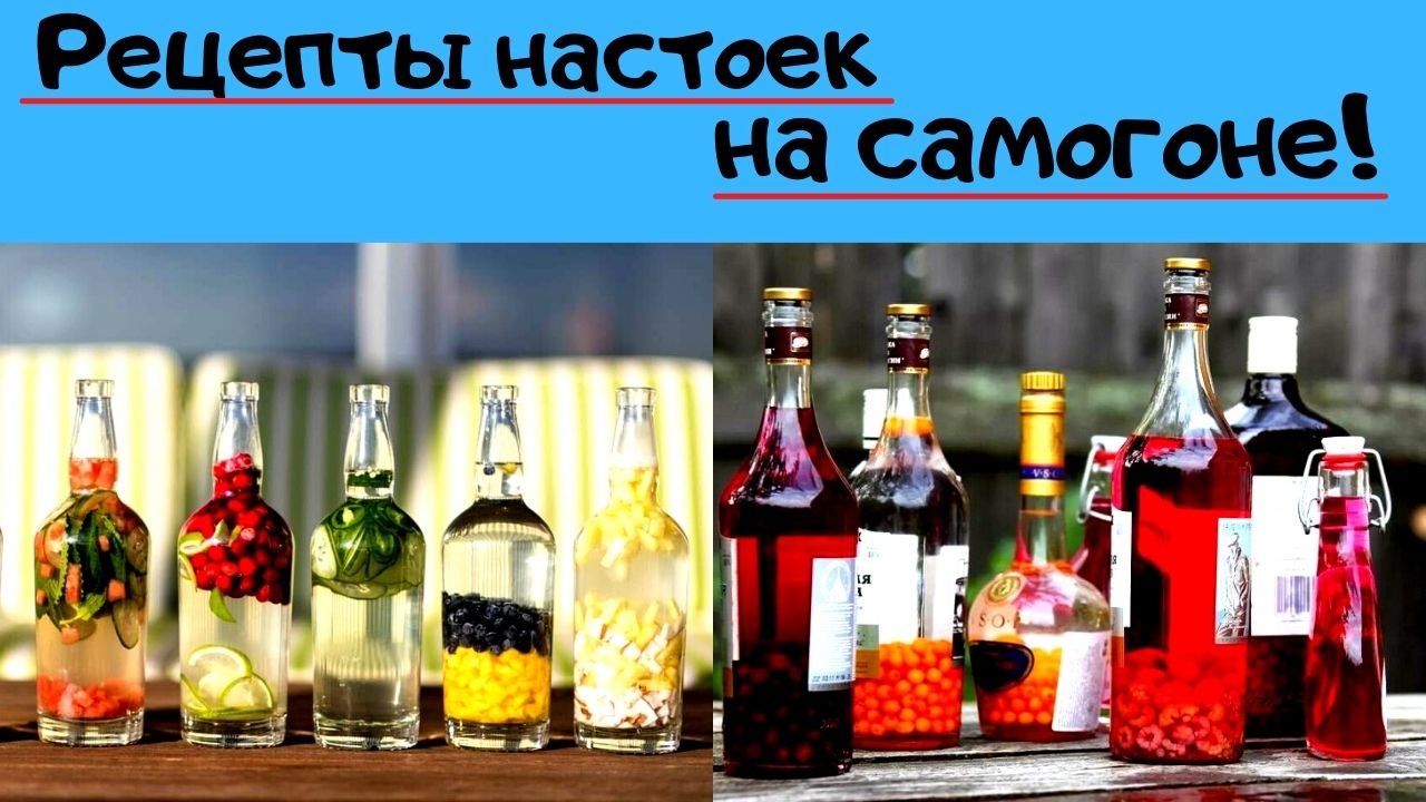 Рецепты 6 настоек на самогоне. смотреть онлайн