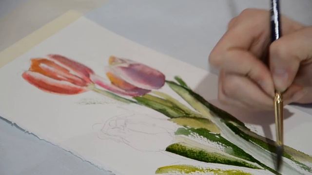 Цветы Рисуем акварелью.Тюльпаны акварелью. Drawing process.Watercolor. смотреть онлайн
