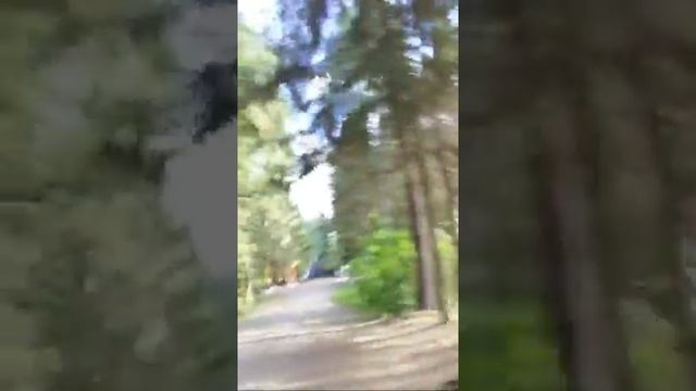 дорога в Лодейное поле смотреть онлайн