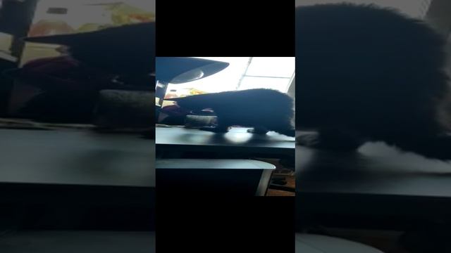 вот и утро ...