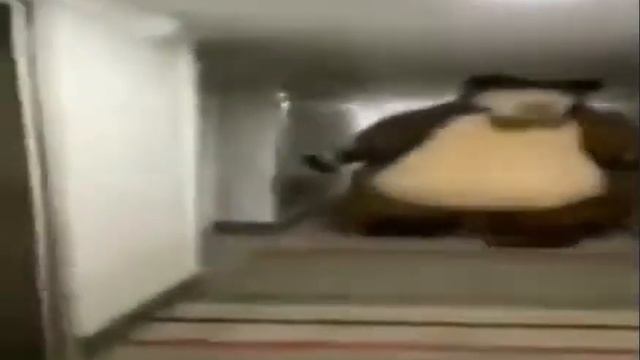 Широкий медведь бежит, НО...