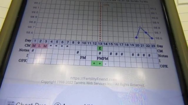 10 DPO Pregnancy Test June 2022 смотреть онлайн