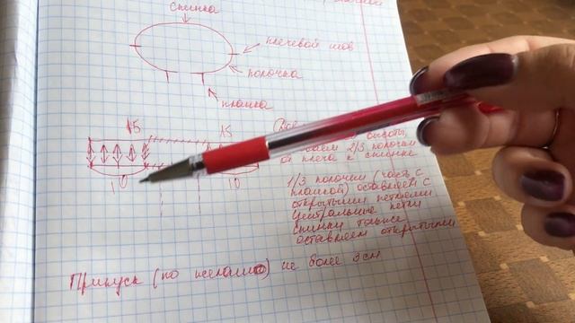 Капюшон спицами смотреть онлайн
