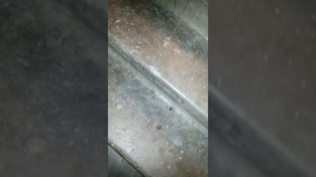 Ужас!!! Соседи ОБОСРАЛИСЬ!!! смотреть онлайн