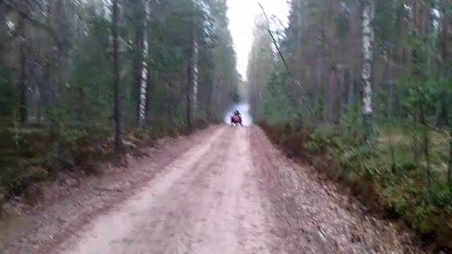 ТМЗ. Мотороллер Муравей. муравей 2м 01 смотреть онлайн