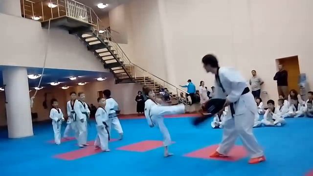 Аттестация на синий пояс! Клуб тхэквондо 