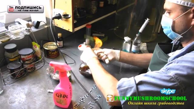 ВЕШЕНКА, МИЦЕЛИЙ РАЗБАВЛЯЕМ В ФЛАКОНЕ смотреть онлайн