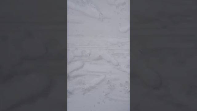 Kingsong 16s challenging in the snow смотреть онлайн