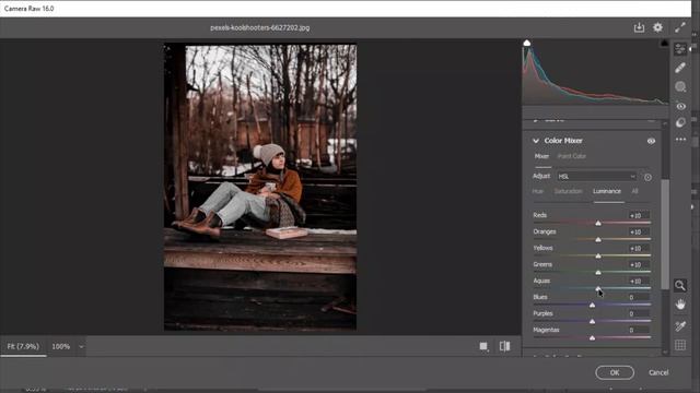 Quickly Get Cinematic Color Grading in Photoshop Camera Raw смотреть онлайн
