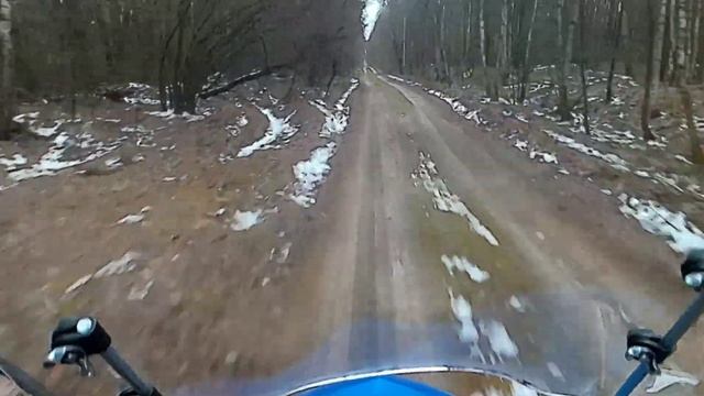 в лесу на скутере в ноябре 2022 (лес в середине видео)@532timon смотреть онлайн
