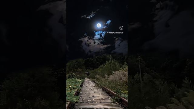 Ahmad Zahir Mirawi Az Man 
Ахмад Захир 
احمد ظاهر میروی از من و لبریز فغانم چه کنم.