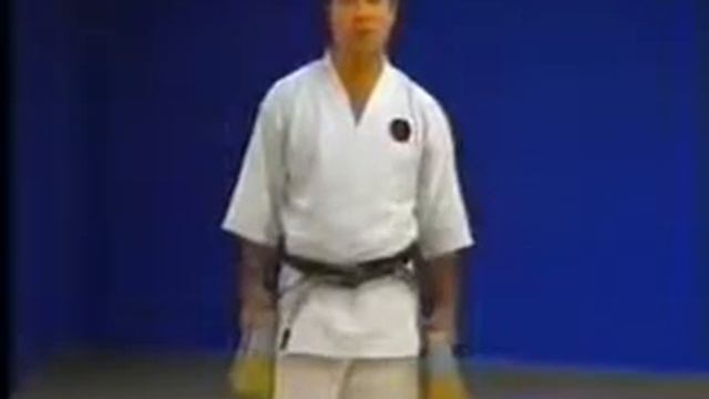 Hodjo undo goju-ryu karate Morio Higaonna смотреть онлайн