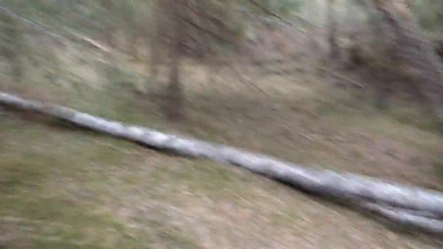 самозаготовка древесины для поделок смотреть онлайн